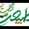 Ava Tabiat Golestan Logo